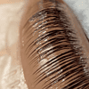 brow & lash services