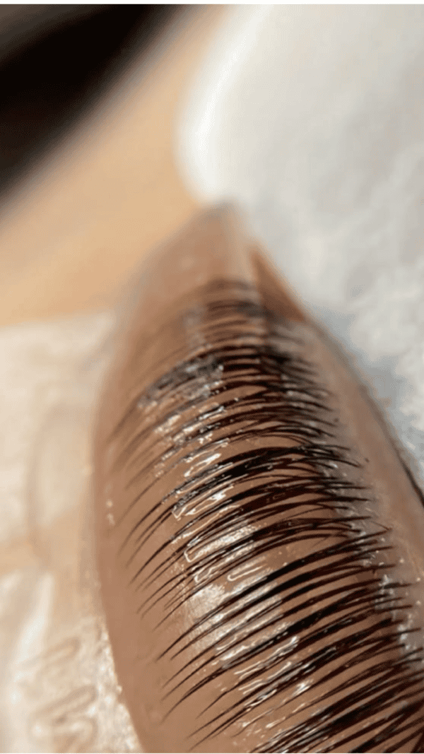 brow & lash services