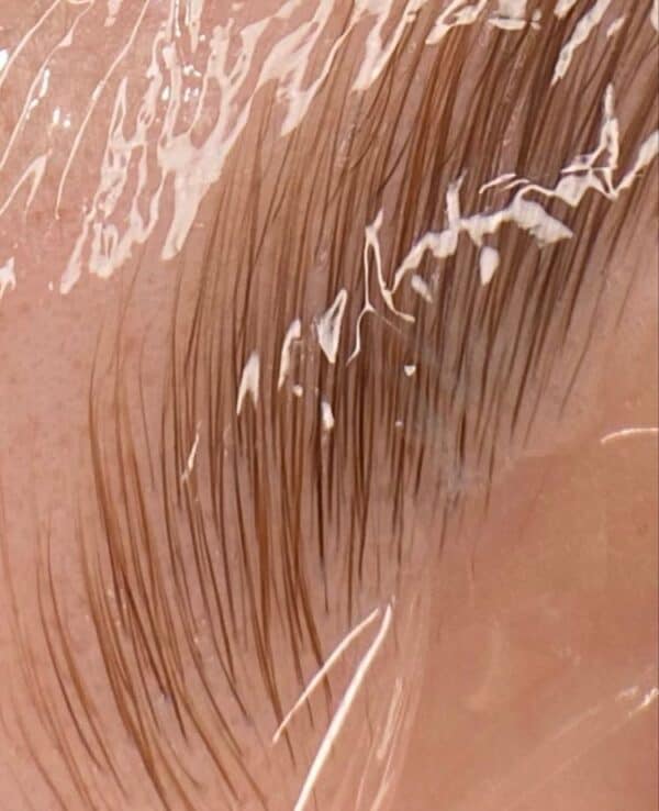 brow & lash services